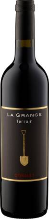 2022 Terroir Cinsault