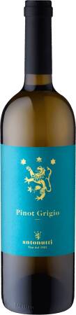 2023 Pinot Grigio Friuli Antonutti