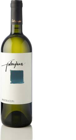 2023 Pietracupa - Falanghina IGT-